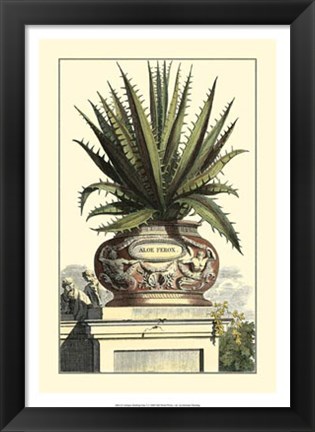 Framed Antique Munting Aloe I Print