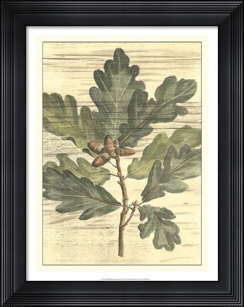 Framed Weathered Oak Leaves I Print