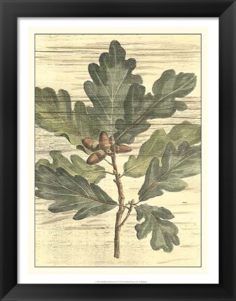 Framed Weathered Oak Leaves I Print