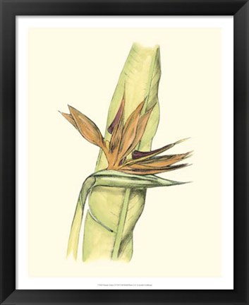 Framed Elegant Tropics I Print