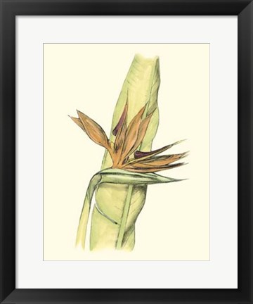 Framed Elegant Tropics I Print