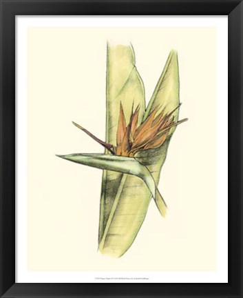 Framed Elegant Tropics II Print