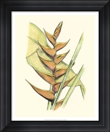 Framed Elegant Tropics III Print