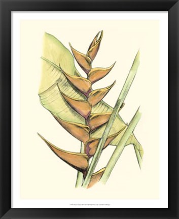 Framed Elegant Tropics III Print