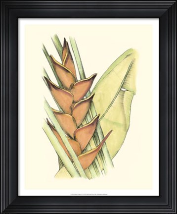 Framed Elegant Tropics IV Print