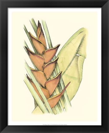 Framed Elegant Tropics IV Print