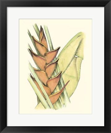 Framed Elegant Tropics IV Print