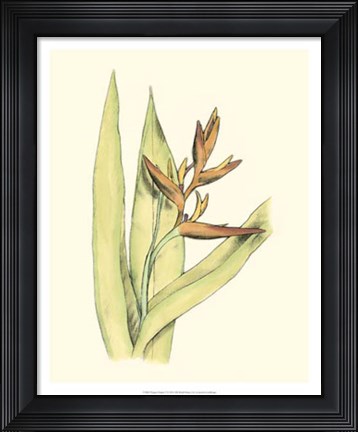 Framed Elegant Tropics V Print