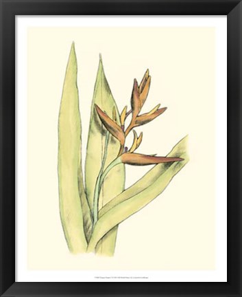 Framed Elegant Tropics V Print