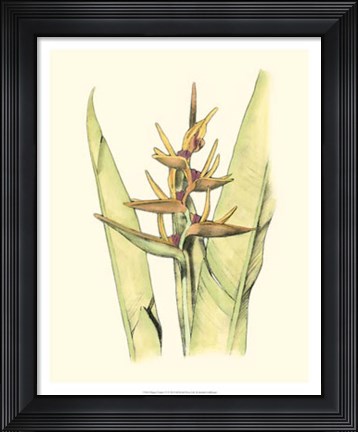 Framed Elegant Tropics VI Print