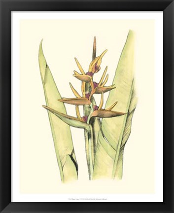 Framed Elegant Tropics VI Print