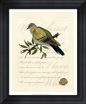 Framed Romantic Dove I Print