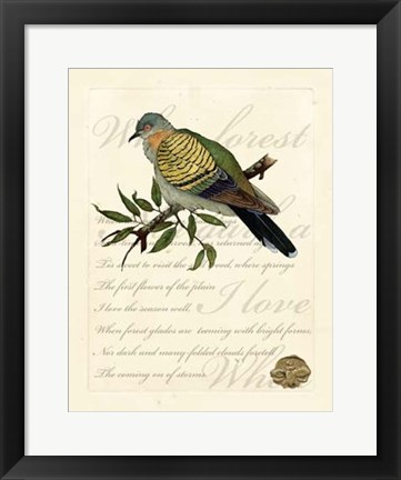 Framed Romantic Dove I Print