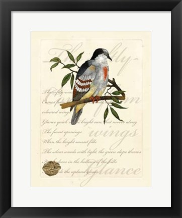 Framed Romantic Dove II Print