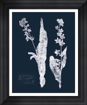 Framed Impressions on Indigo IV Print