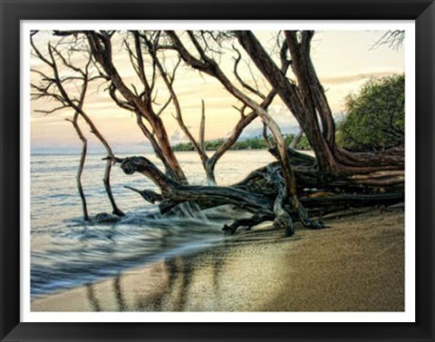 Framed Reaching for the Sea I Print