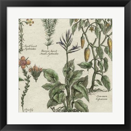 Framed Delicate Garden II Print