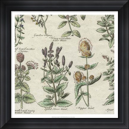 Framed Delicate Garden IV Print