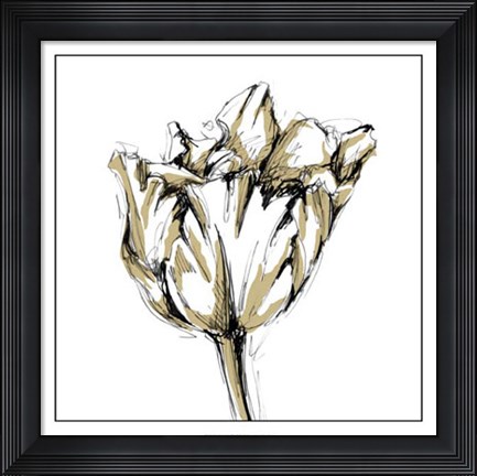 Framed Tulip Sketch I Print