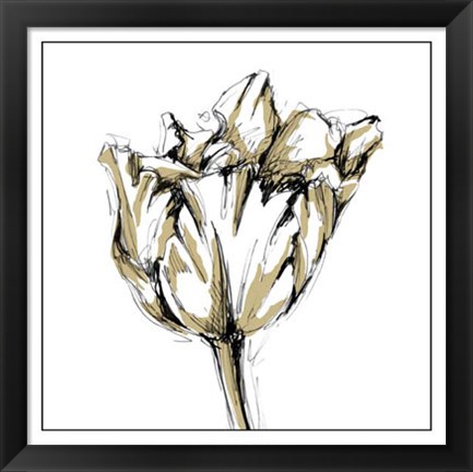 Framed Tulip Sketch I Print