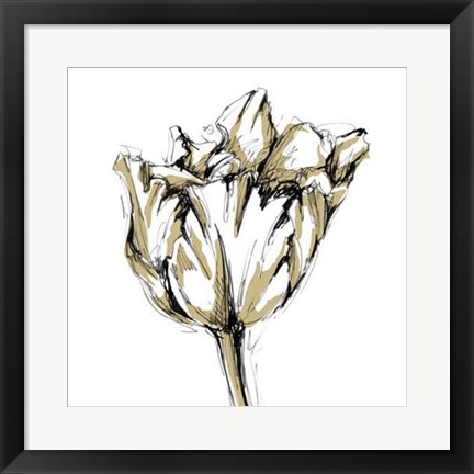 Framed Tulip Sketch I Print