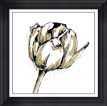 Framed Tulip Sketch II Print