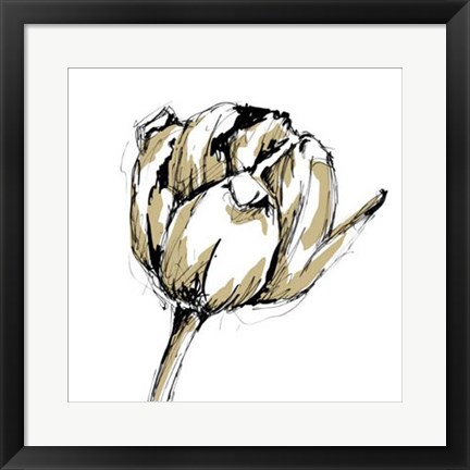 Framed Tulip Sketch II Print