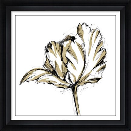 Framed Tulip Sketch III Print
