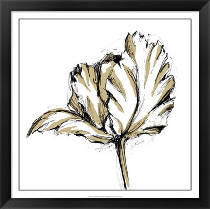 Framed Tulip Sketch III Print