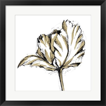 Framed Tulip Sketch III Print