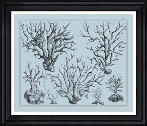 Framed Aegean Coral on Blue I Print