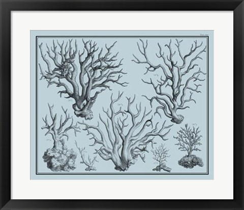 Framed Aegean Coral on Blue I Print