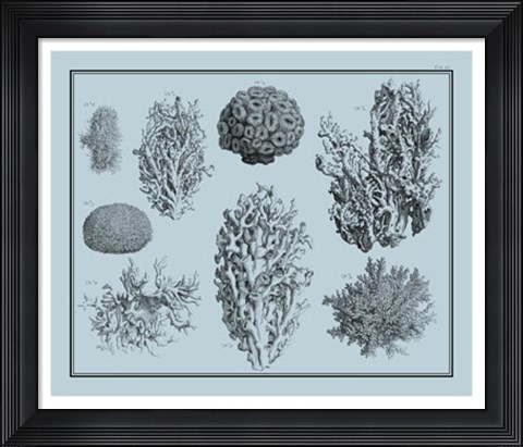 Framed Aegean Coral on Blue II Print