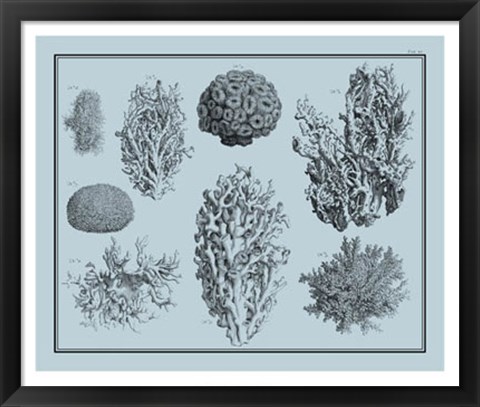 Framed Aegean Coral on Blue II Print