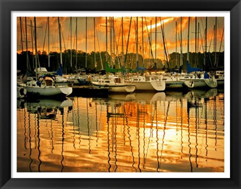 Framed Marina Sunrise I Print