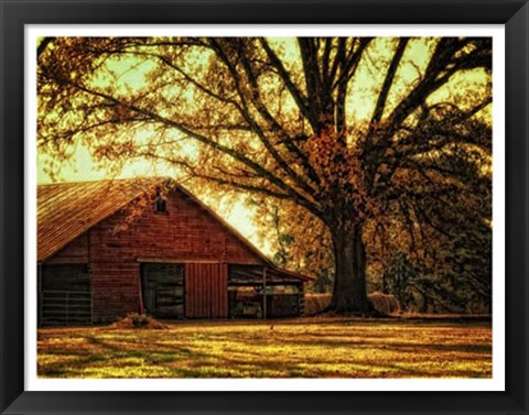 Framed Last Tree Standing Print