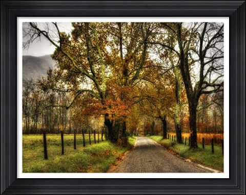 Framed Rainy Morning on Sparks Lane Print