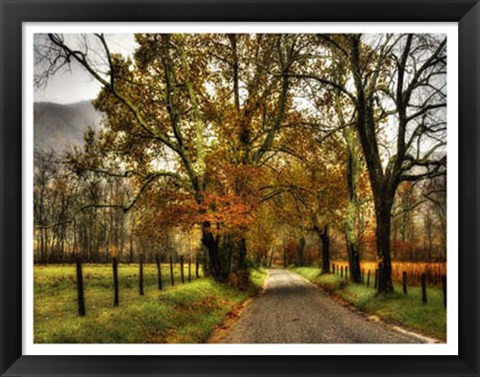 Framed Rainy Morning on Sparks Lane Print