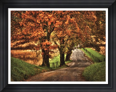Framed Rainy Morning on Hyatt Lane Print
