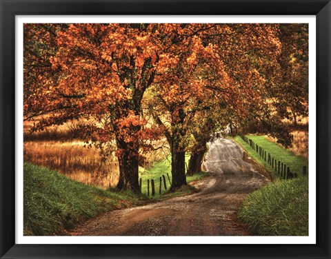 Framed Rainy Morning on Hyatt Lane Print