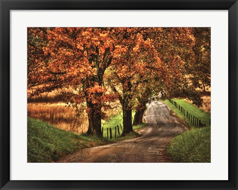 Framed Rainy Morning on Hyatt Lane Print