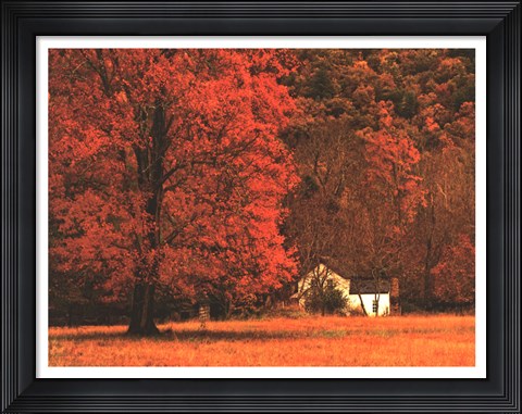Framed Farm House on a Autumn Morn&#39; Print
