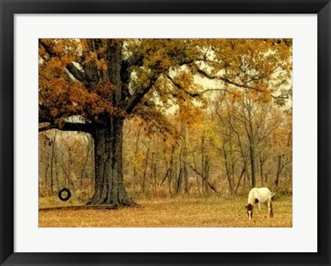 Framed Lone Horse Grazing Print