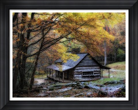 Framed Damp Autumn Day Print