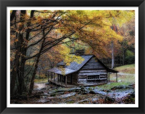 Framed Damp Autumn Day Print