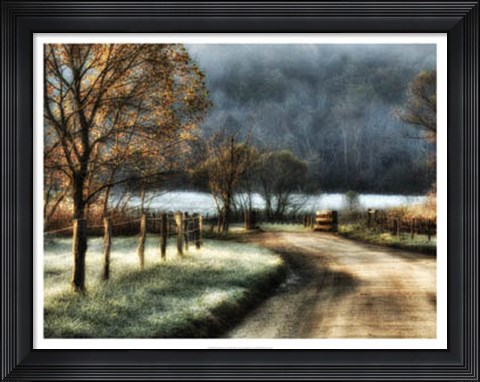 Framed Morning Frost Print