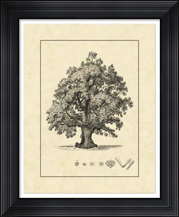 Framed Vintage Tree III Print