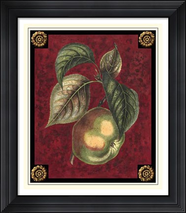 Framed Pomme De Canada Print
