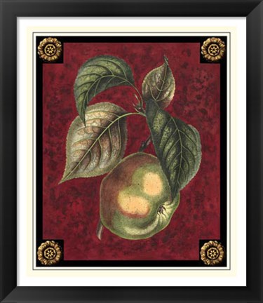 Framed Pomme De Canada Print