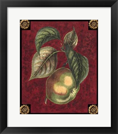 Framed Pomme De Canada Print